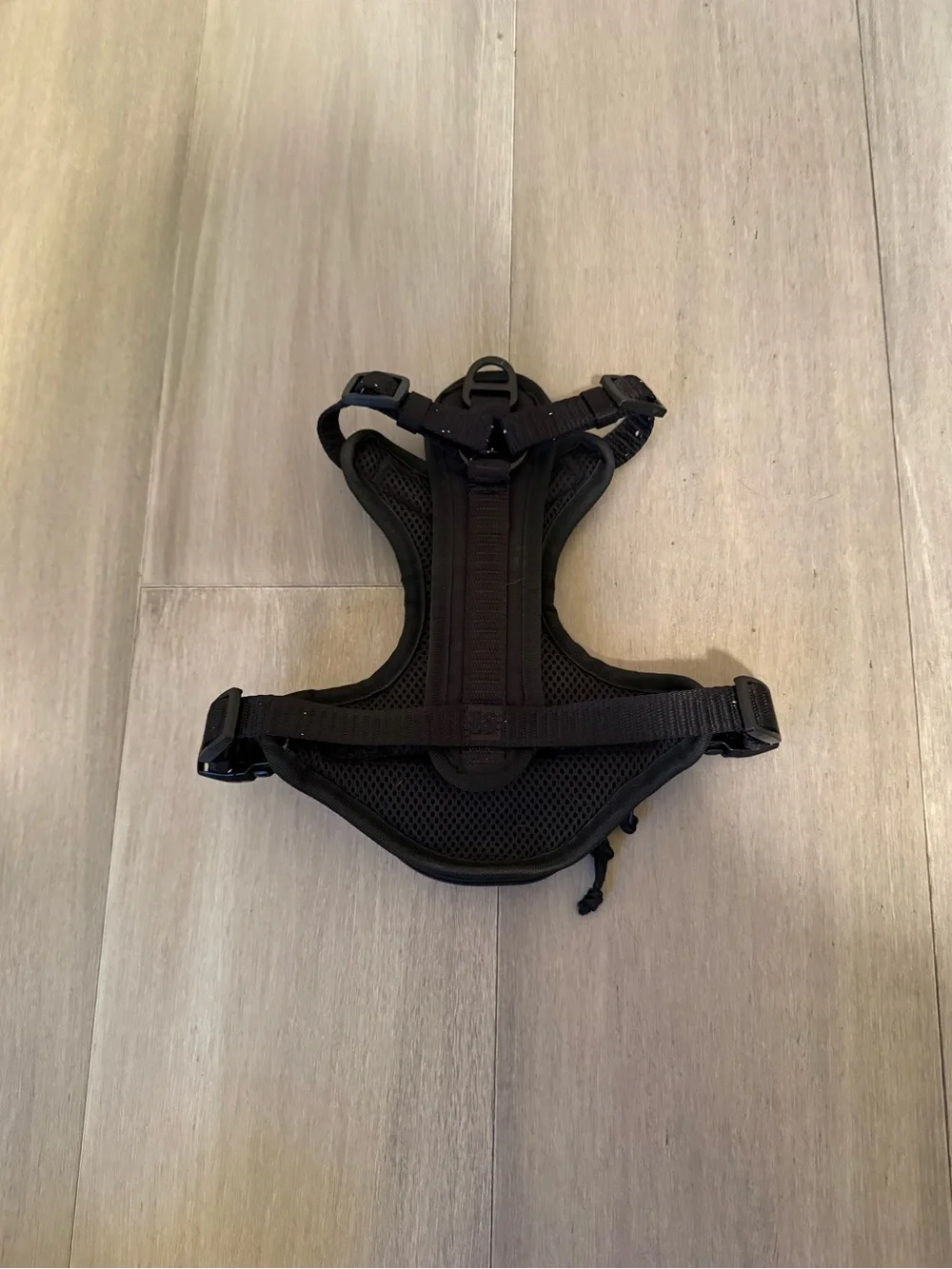 Kong Black Reflective Padded Dog Harness with Matching Leash
